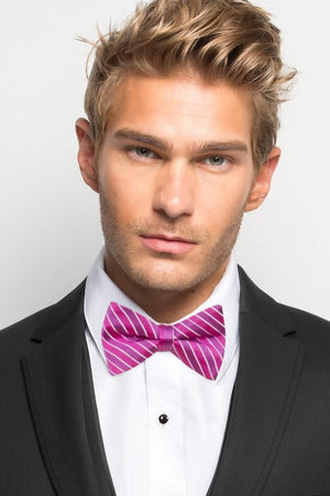 Striped Bow Tie - All Dressed Up, Tuxedo Rental