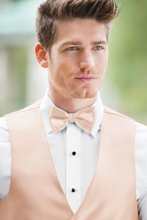 Expressions Bow Tie - All Dressed Up, Tuxedo Rental